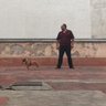 Фото профиля Jose Luis Manzur