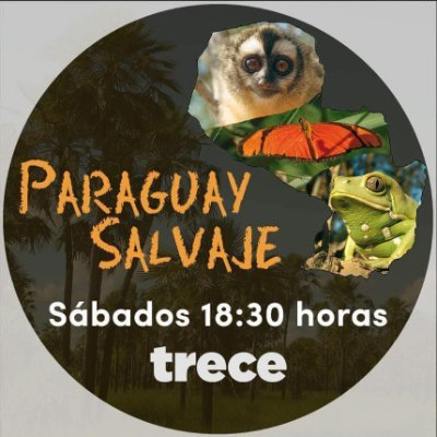 Paraguay Salvaje's profile picture