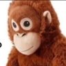 Another Chango's profile picture