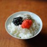 明太ご飯（小盛り profil fotoğrafı