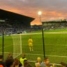 Trfc's profile picture