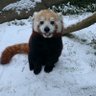 skyze's profile picture