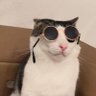 ooooo ratata's profile picture