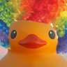 TheDeath0fDucks's profile picture