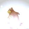 平蔵's profile picture