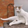 藤田　琢磨(Takuma Fujita)'s profile picture