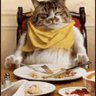 Profilbild von Missfatcat