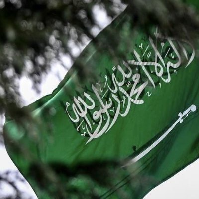 فيصل الغامدي's profile picture