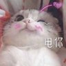 羊又火锅煲(被B到透明,摸个鱼先~)'s profile picture