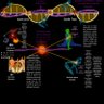 Фото профиля Atumbem Kosmos / Stellarhyme3