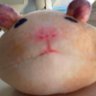 さく's profile picture