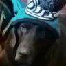 LeHunt's profile picture