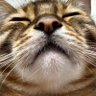 Profilbild von Yaco
