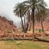 صالح 的头像