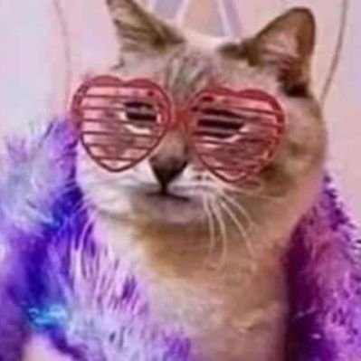 Bread_cheese3's profile picture