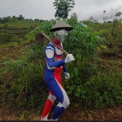 Ultraflu's profile picture