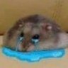 Profilbild von atom splitter