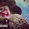 Pétonelle TRILOX's profile picture