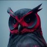🦉 Sr Buho Rojo 🦉's profile picture