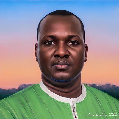 ibrahimamaiga's profile picture
