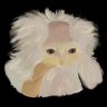 Profilbild von willie wagtail