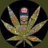 🍁 Potmongs profil fotoğrafı