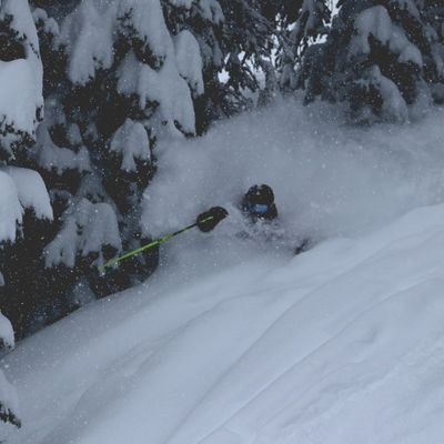 TheDailyPOW's profile picture