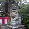 romu tsuba's profile picture