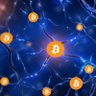 Free Market BTC 的头像