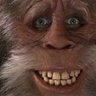 Profilbild von PW
