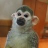 じょあん 的头像