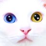 るかくらさん's profile picture
