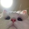 Profilbild von Jasmin — (rest)