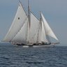 Paul Herrman profil fotoğrafı