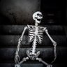 Mr.'s profile picture