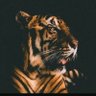 aditya chavan ▪︎▪︎nxsus▪︎▪︎ 的头像