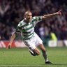 Paddy McGubligan's profile picture