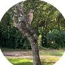 Profilbild von Macandi