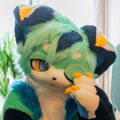 やすは🐾🔜5/31オペサス【ス-35】's profile picture