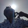 Justin's profile picture