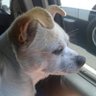 Rags's profile picture
