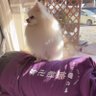 Фото профиля さとし・ソレイユ・中本