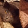Юрий's profile picture