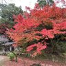 ニュー profil fotoğrafı