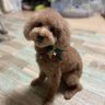 Rie 的头像