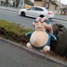 しゃち's profile picture