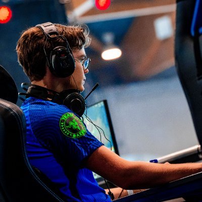 TheRoyalKanin's profile picture