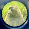 runescape dude's profile picture