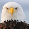 Profilbild von Eagleeye62