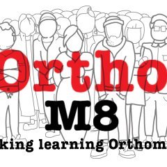 OrthoM8's profile picture